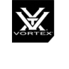 Vortex optics
